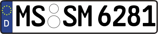 MS-SM6281