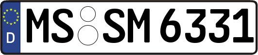 MS-SM6331