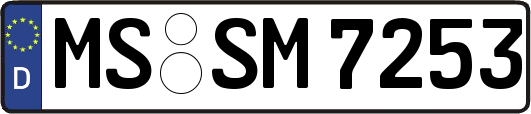 MS-SM7253