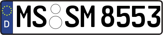 MS-SM8553