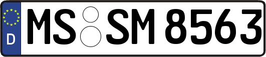 MS-SM8563