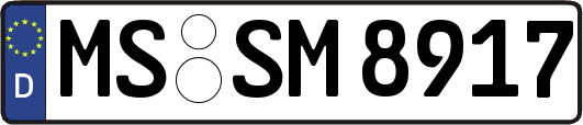 MS-SM8917