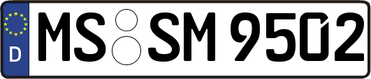MS-SM9502