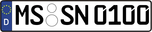 MS-SN0100