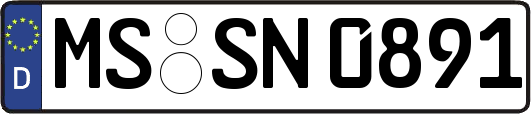 MS-SN0891