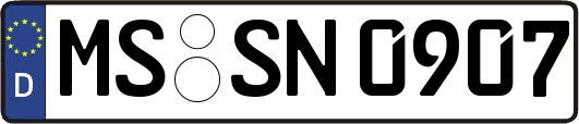 MS-SN0907