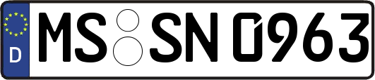 MS-SN0963