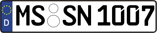MS-SN1007