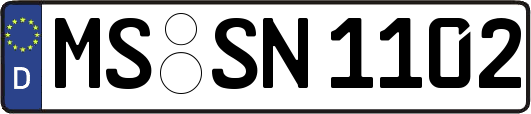 MS-SN1102
