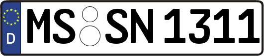 MS-SN1311