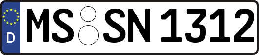 MS-SN1312