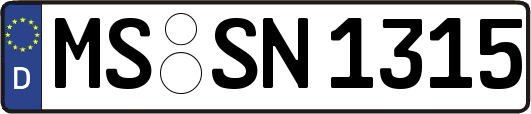 MS-SN1315