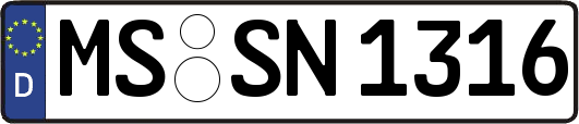 MS-SN1316