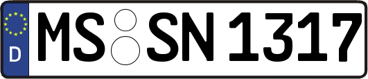 MS-SN1317