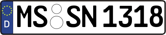 MS-SN1318