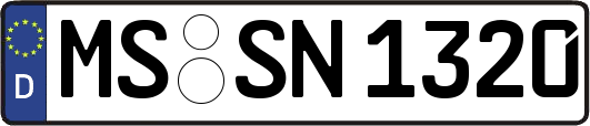 MS-SN1320