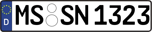MS-SN1323
