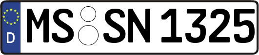 MS-SN1325