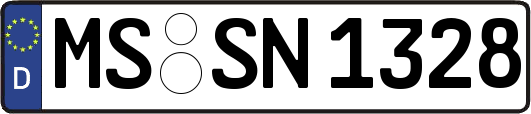 MS-SN1328