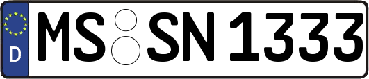 MS-SN1333
