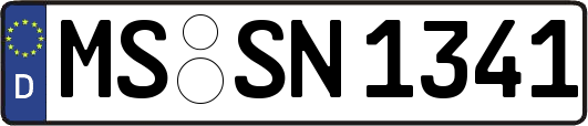 MS-SN1341