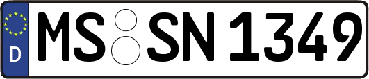 MS-SN1349