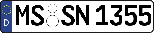 MS-SN1355