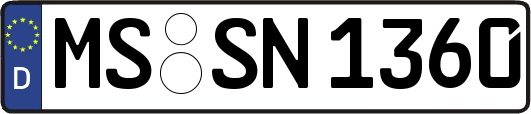 MS-SN1360