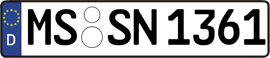 MS-SN1361