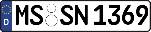 MS-SN1369