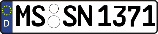 MS-SN1371