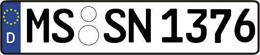 MS-SN1376