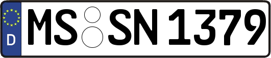MS-SN1379