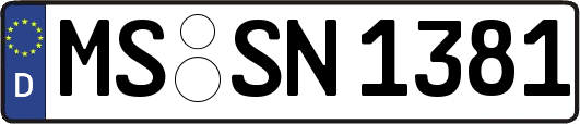 MS-SN1381