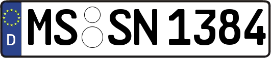 MS-SN1384
