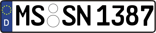 MS-SN1387