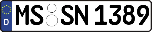 MS-SN1389