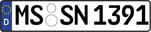 MS-SN1391