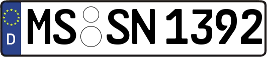 MS-SN1392