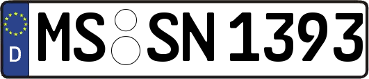 MS-SN1393