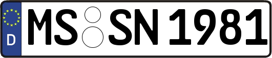 MS-SN1981