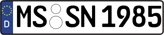 MS-SN1985