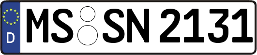 MS-SN2131