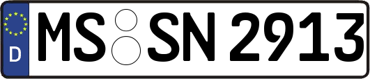MS-SN2913
