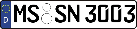 MS-SN3003