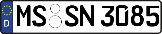 MS-SN3085