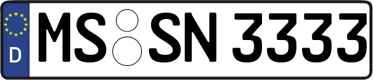 MS-SN3333