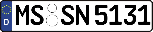 MS-SN5131