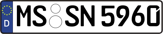 MS-SN5960