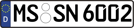 MS-SN6002